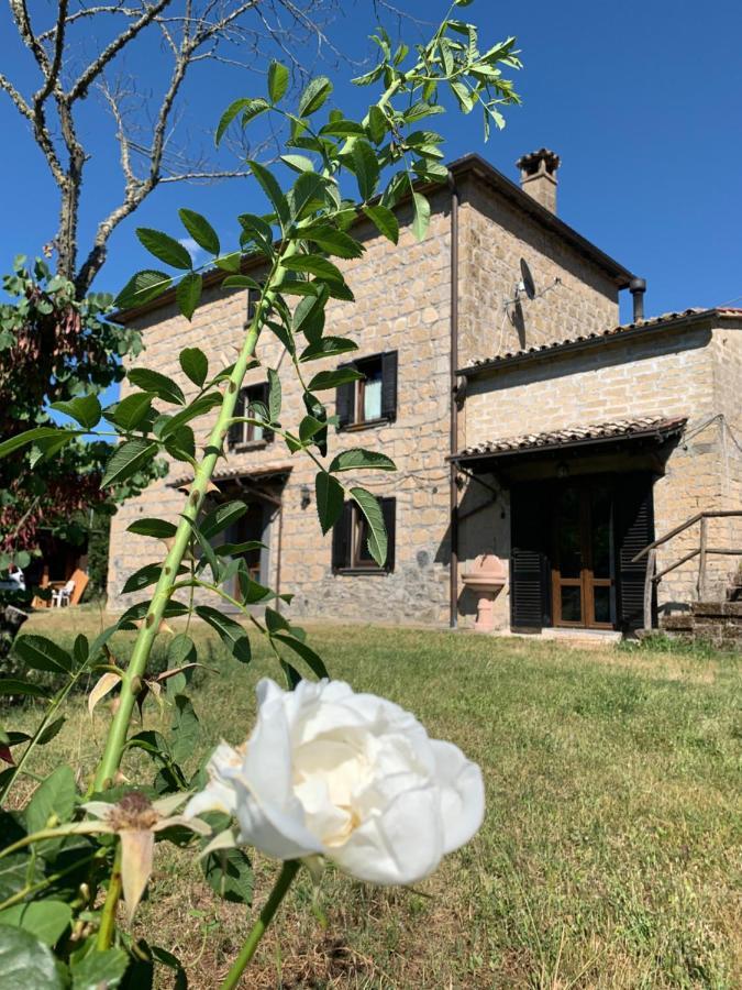 Willa Casa Di Monica Torre San Severo Zewnętrze zdjęcie